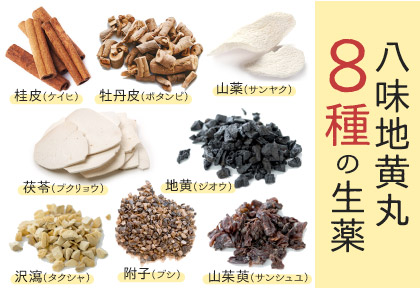 【日本生薬漢方】 八味地黄丸の素材